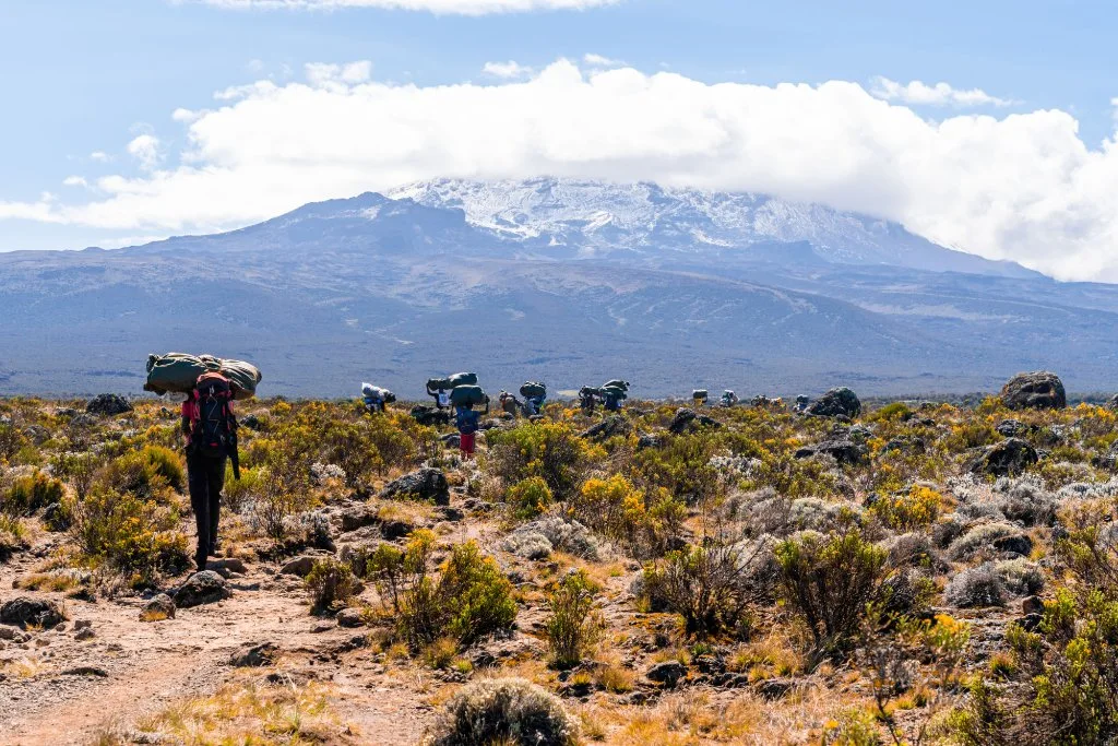 Mountain trekkers below a snow-covered summit