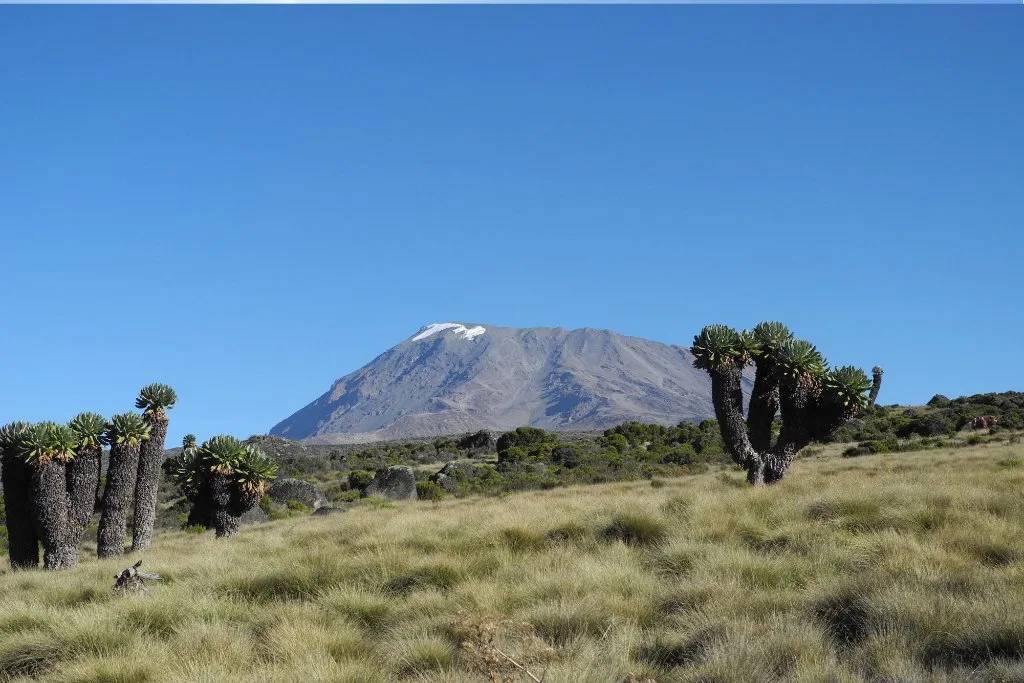 Trekkers approaching a volcanic mountain