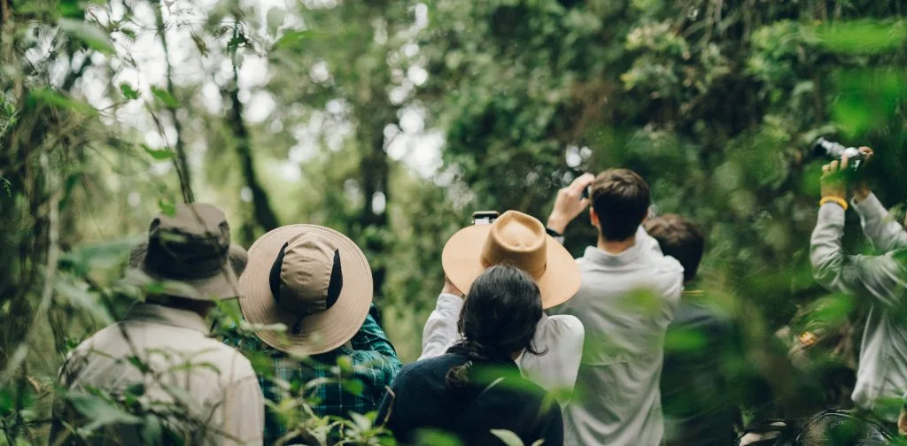 Travellers observing forest wildlife