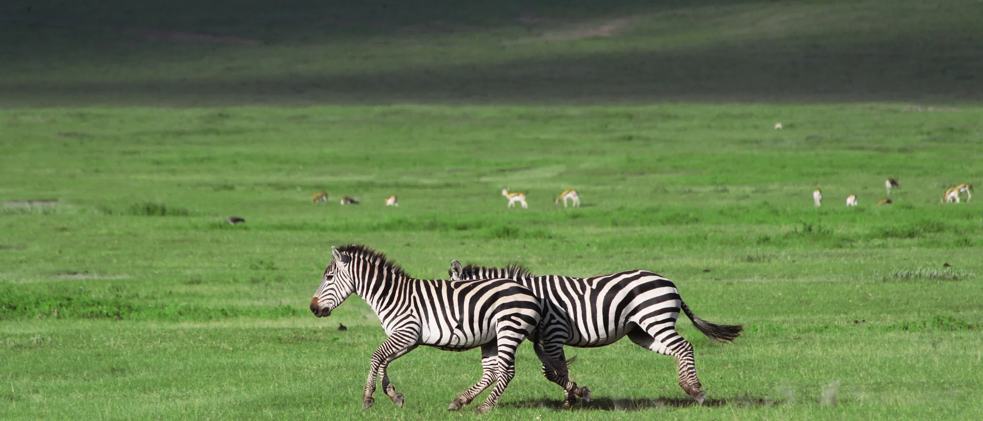 The Ngorongoro caldera landscape